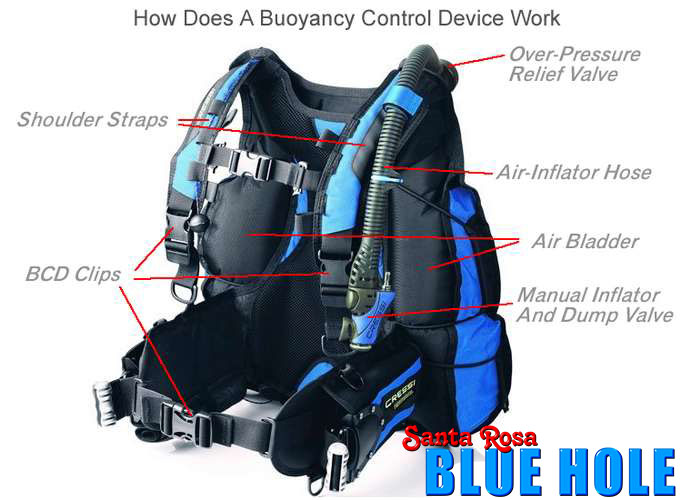 Good Details You Should Know Before Getting a Diving Vest
