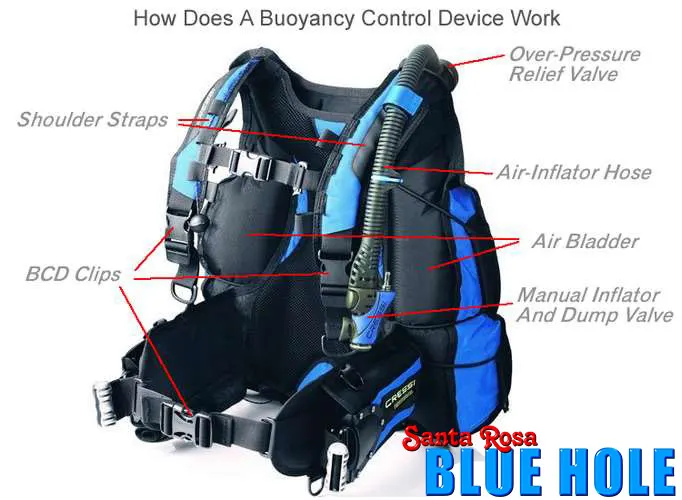 Diving Vest