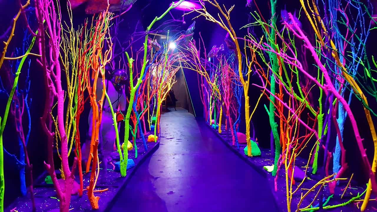 Neon Branch Path in Meow Wolf, Santa Fe