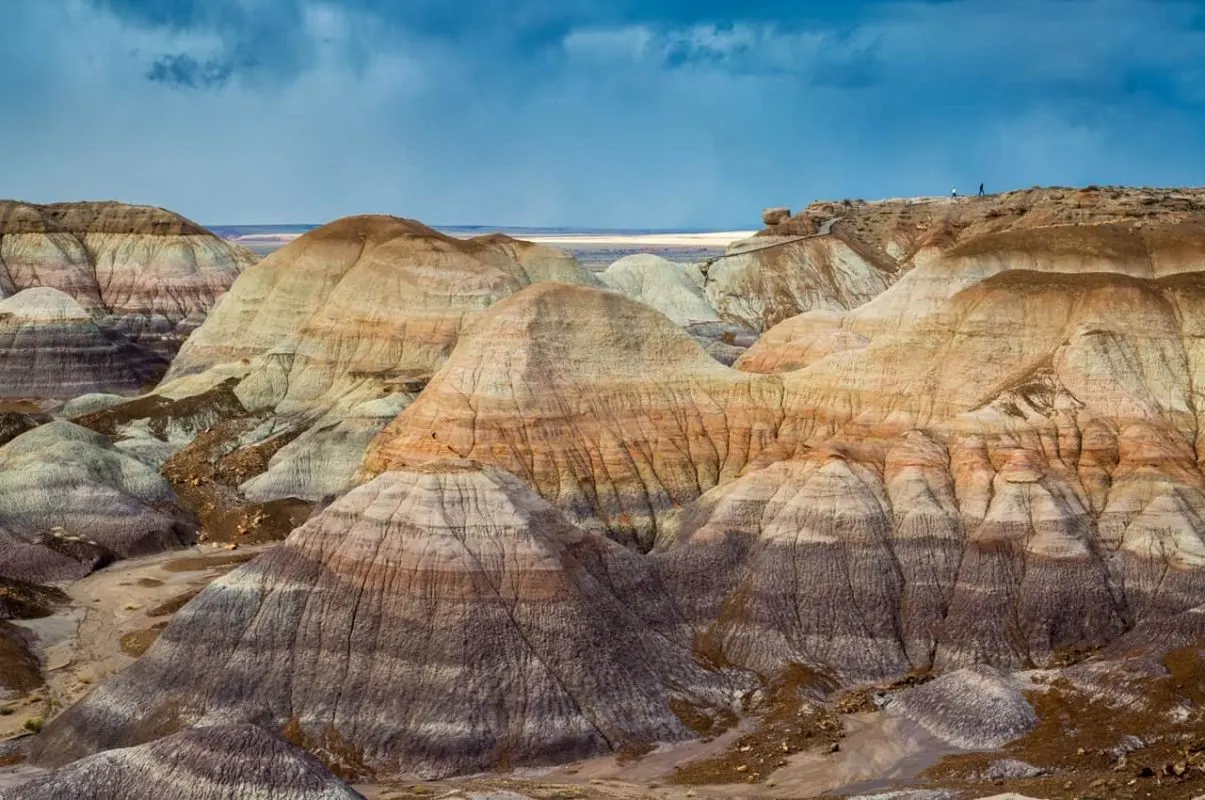 Petrified Forest National Park