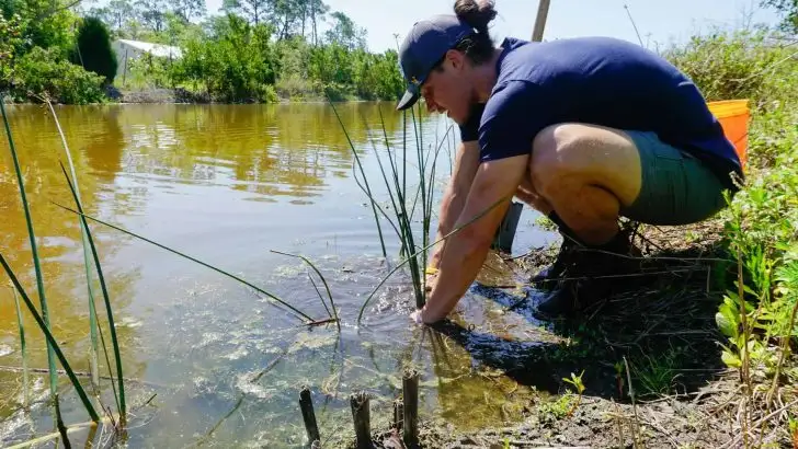 A man checking water quality