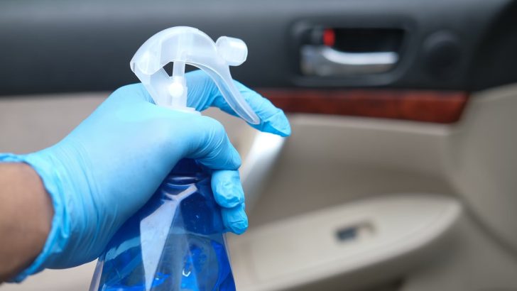 Cruising New Mexico: How to Keep Your Car Interior Desert-Ready
