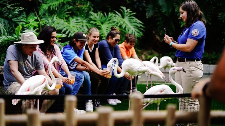 From Coast to Desert: How to Land Seasonal Tourism Jobs Across the USA