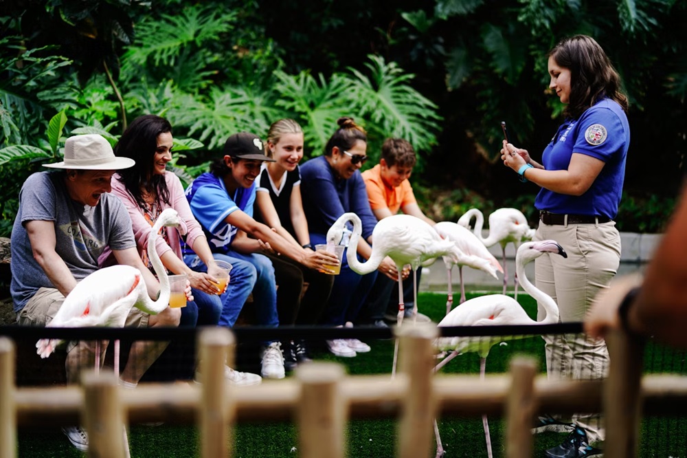 Seasonal Tourism Jobs Across the USA