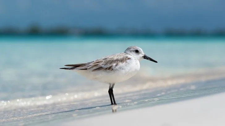 6 Signs You Need a Weekend Away by the Water